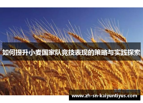 如何提升小麦国家队竞技表现的策略与实践探索 如何提升小麦国家队竞技表现的策略与实践探索