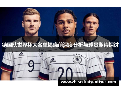 德国队世界杯大名单揭晓前深度分析与球员期待探讨