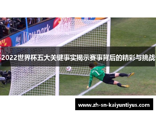 2022世界杯五大关键事实揭示赛事背后的精彩与挑战 2022世界杯五大关键事实揭示赛事背后的精彩与挑战