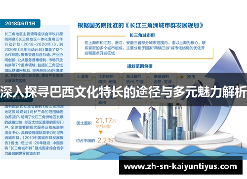 深入探寻巴西文化特长的途径与多元魅力解析