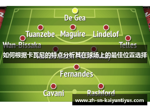 如何根据卡瓦尼的特点分析其在球场上的最佳位置选择 如何根据卡瓦尼的特点分析其在球场上的最佳位置选择