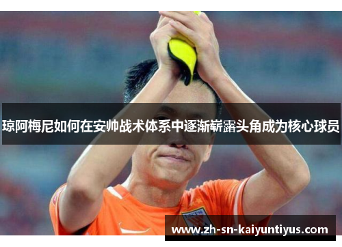 琼阿梅尼如何在安帅战术体系中逐渐崭露头角成为核心球员 琼阿梅尼如何在安帅战术体系中逐渐崭露头角成为核心球员