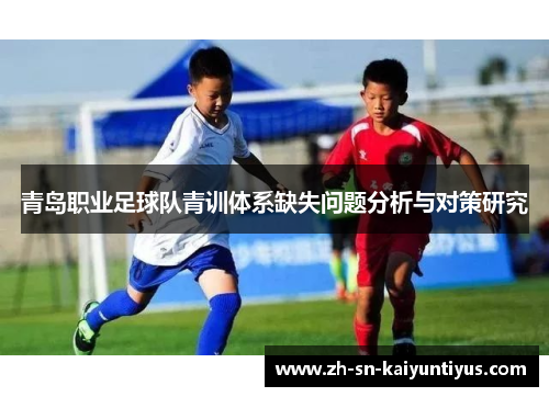 青岛职业足球队青训体系缺失问题分析与对策研究