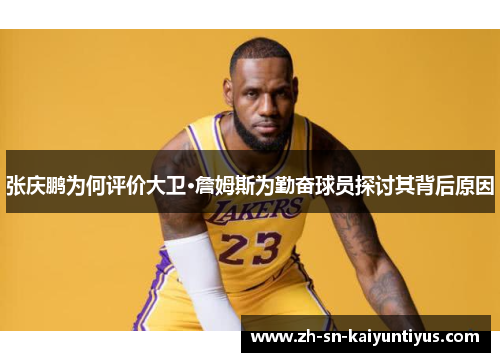 张庆鹏为何评价大卫·詹姆斯为勤奋球员探讨其背后原因