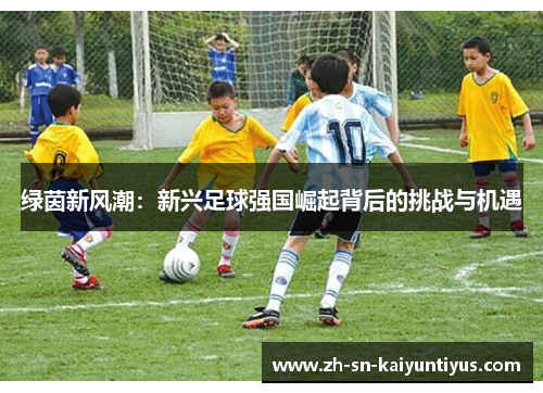 绿茵新风潮：新兴足球强国崛起背后的挑战与机遇